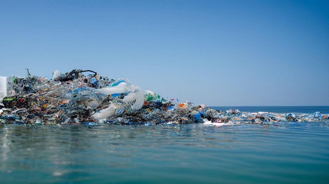 World Environment Day 2025: Why is plastic pollution a problem?