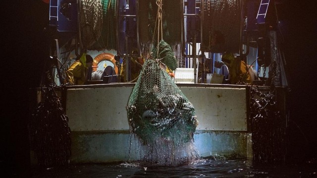 Seaspiracy explored: Why are bottom trawling and bycatch such bad news?